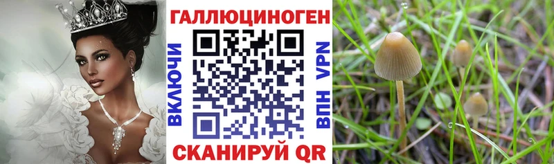 что такое   Ленск  Галлюциногенные грибы Magic Shrooms 