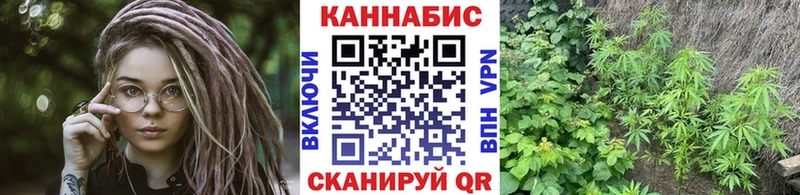 Марихуана White Widow  наркотики  Ленск 